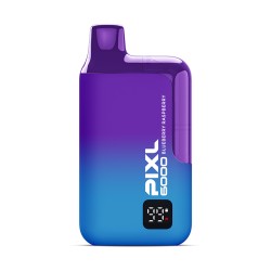 Pixl 6000 Rechargeable Pod - Blueberry Raspberry