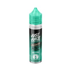 Just Juice Mint - 40ml - Choc Chip - Saltfill
