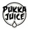 Pukka Juice